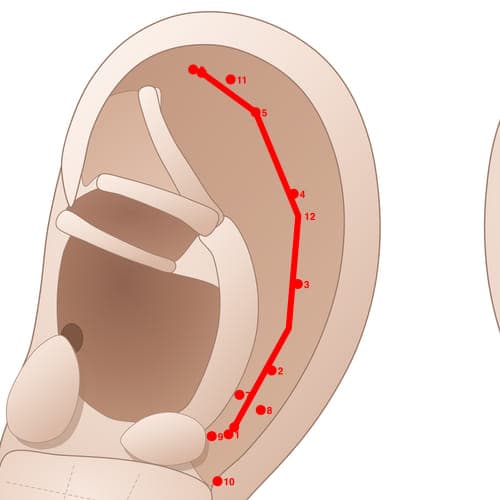 Location of acupuncture point SC12 Fengshixian (Rheumatism Line)