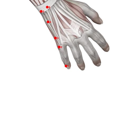 SI01 acupoint