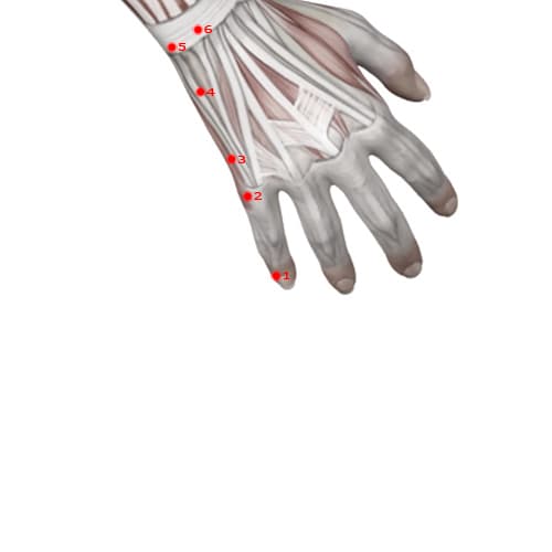 SI01 acupoint