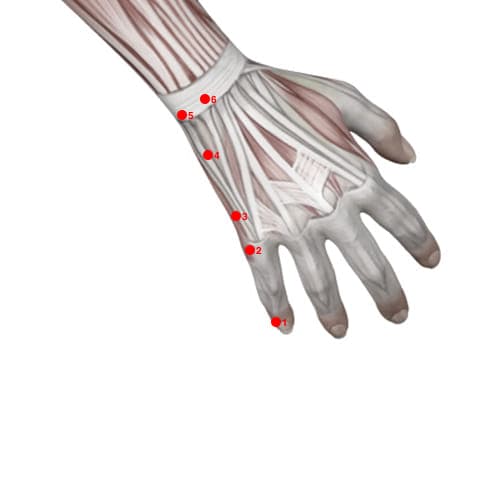 Location of acupuncture point SI02 (Front Valley)