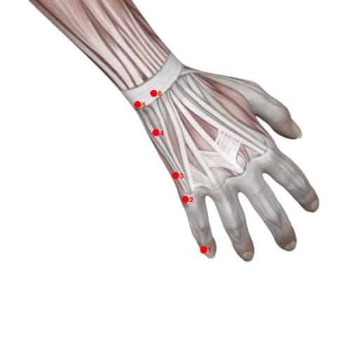 SI03 acupoint