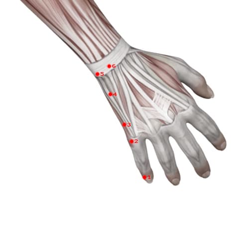 SI03 acupoint