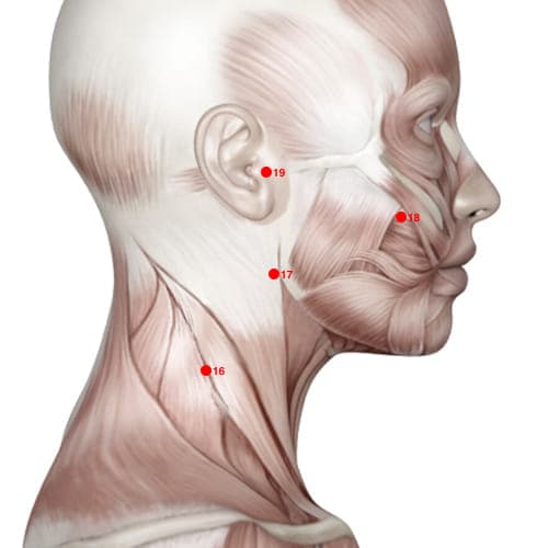 SI17 acupoint