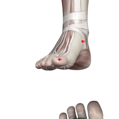 SP01 acupoint
