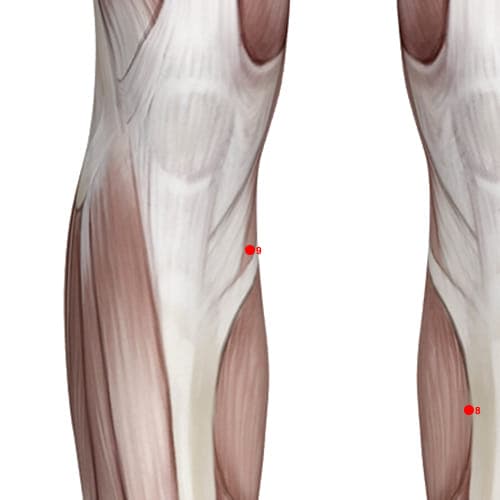 SP09 acupoint