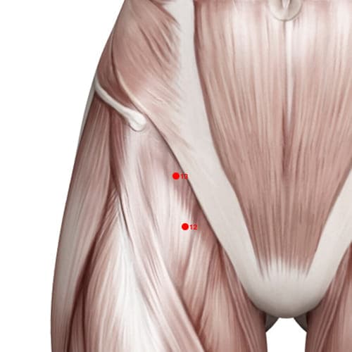 Location of acupuncture point SP13 (Bowel Abode)