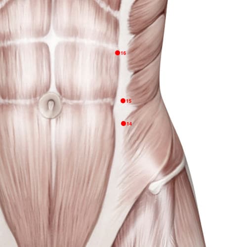 Location of acupuncture point SP14 (Abdominal Bind)