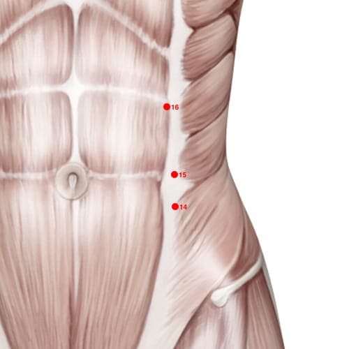 Location of acupuncture point SP15 (Great Horizontal)