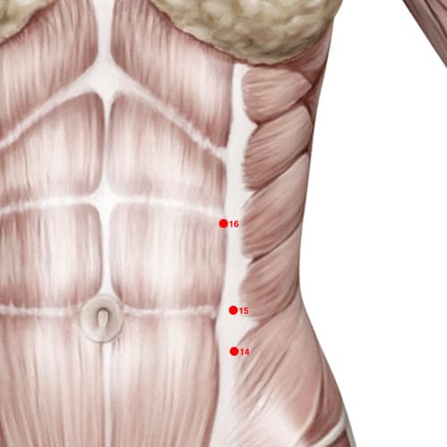 Location of acupuncture point SP16 (Abdominal Lament)