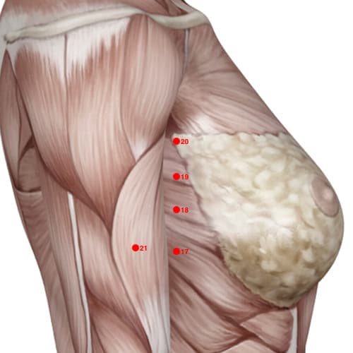 SP19 acupoint
