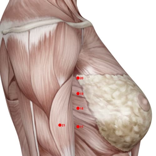 SP20 acupoint