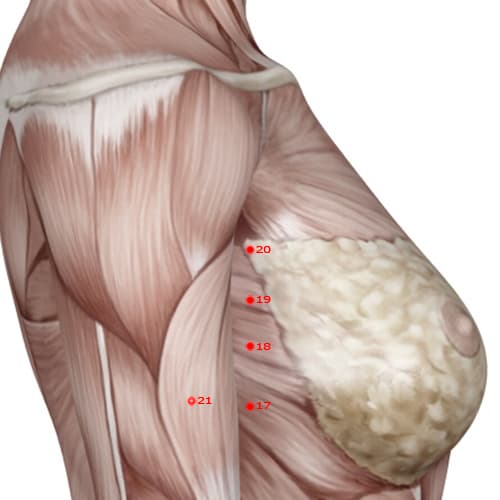 SP20 acupoint
