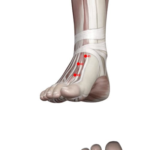 ST43 acupoint