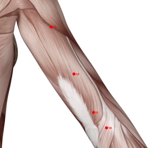 Location of acupuncture point TB12 (Dispersing Riverbed)