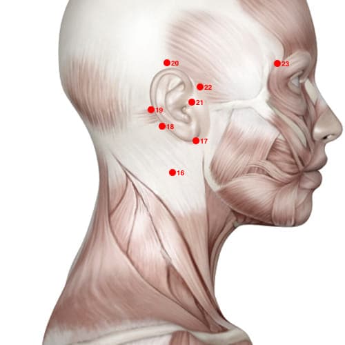 TB16 acupoint