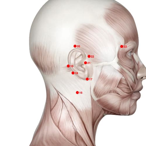 Location of acupuncture point TB18 Qimai (Spasm Vessel)
