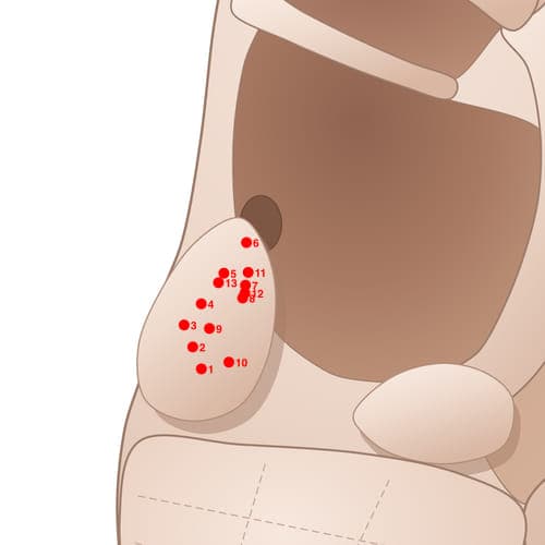 Location of acupuncture point TR11 (Glottis)