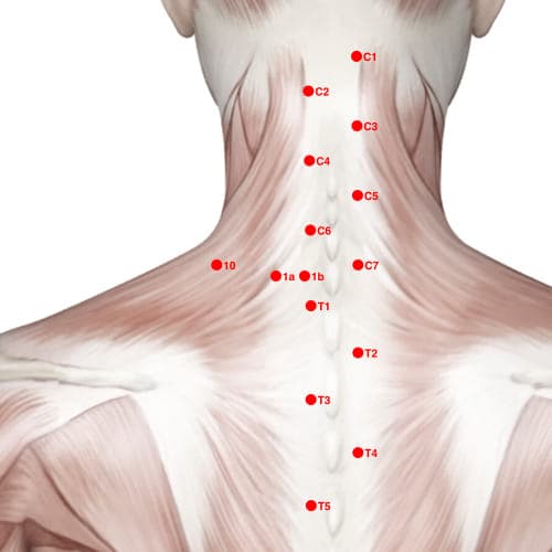 Extra Points: Back – location of XB01A