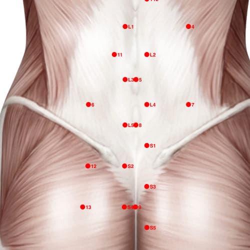 Location of acupuncture point XB02L5 (Hua Tuo's Para-Vertebral Point - L5)