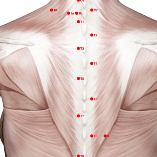 Location of acupuncture point XB02T5 (Hua Tuo's Para-Vertebral Point - T5)