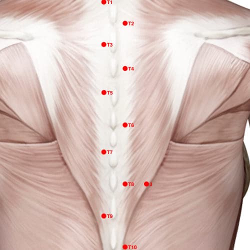 Location of acupuncture point XB02T6 (Hua Tuo's Para-Vertebral Point - T6)