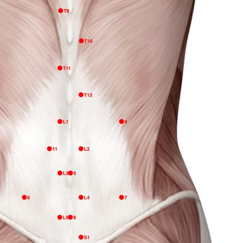 Location of acupuncture point XB04 (Fullness Root)