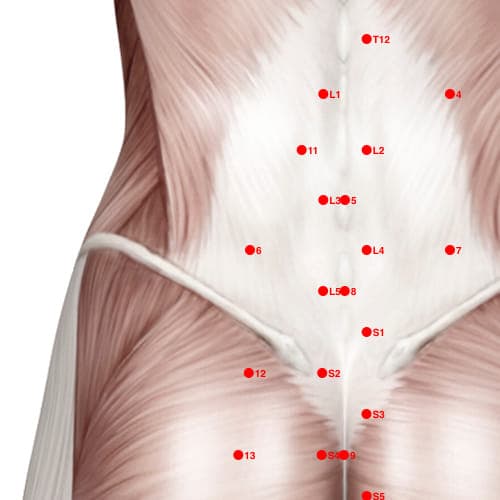 Location of acupuncture point XB06 (Serving The Waist Region)