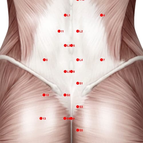Location of acupuncture point XB08 (Seventeenth Lumbar Point)
