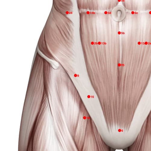 Location of acupuncture point XC09 (Raise Hand)