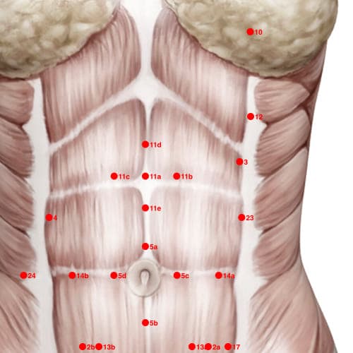 Location of acupuncture point XC11B (Plum Blossom)