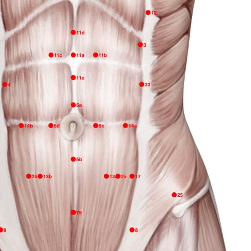 Location of acupuncture point XC14A (Long Valley)