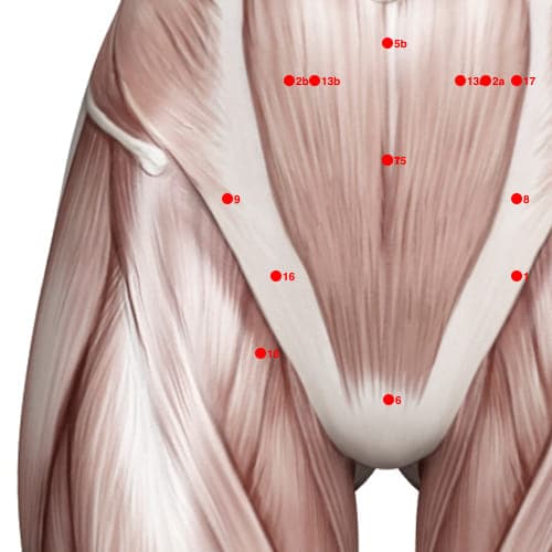 Location of acupuncture point XC16 (Intestinal Remains)