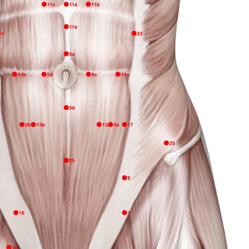 Location of acupuncture point XC17 Jingzhong (Through The Middle)