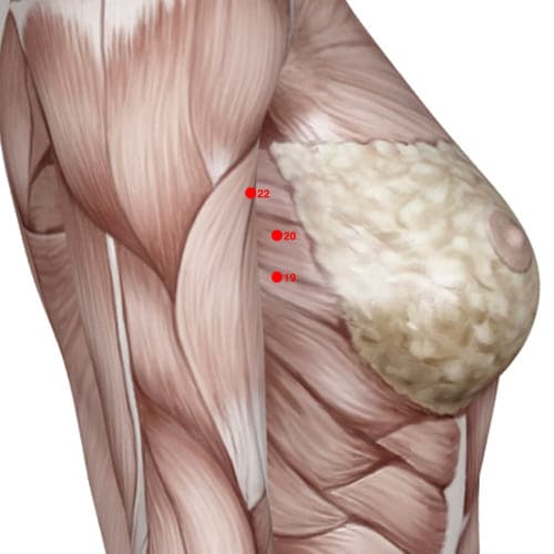 XC19 acupoint