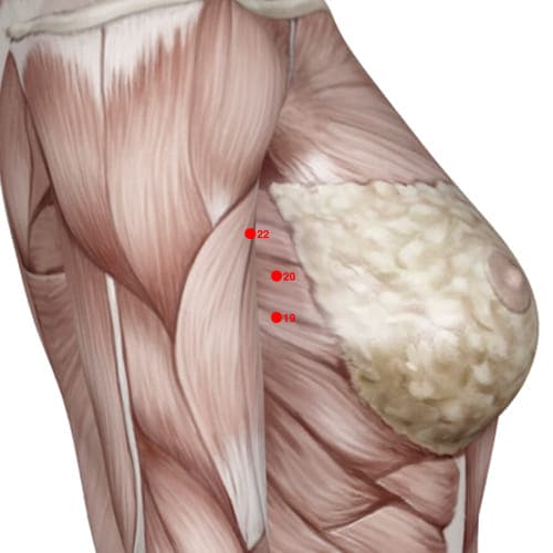 XC20 acupoint