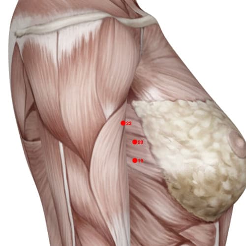 Location of acupuncture point XC22 (Flank Hall)