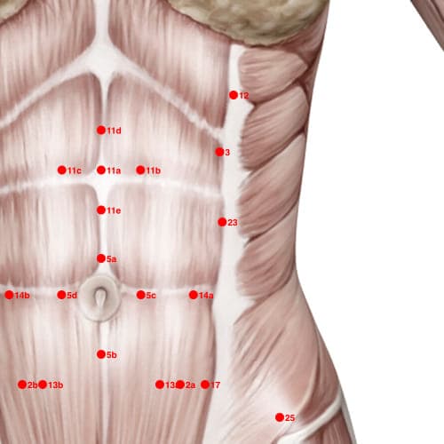 Location of acupuncture point XC23 (Raise Stomach)