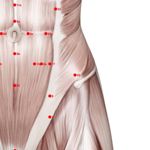 Location of acupuncture point XC25 Yepingxue (Level With The Armpit)