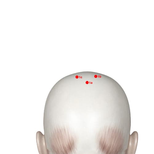 XH01C acupoint