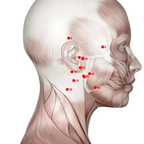 Location of acupuncture point XH16 (Peaceful Sleep)