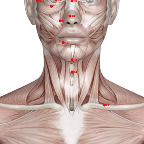 Location of acupuncture point XH44 (Upper Clean Spring)