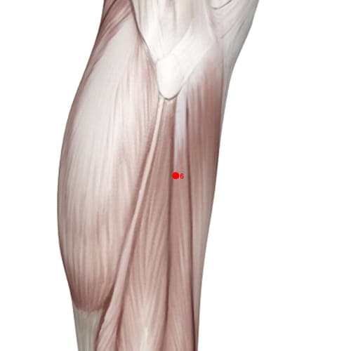 XL06 acupoint