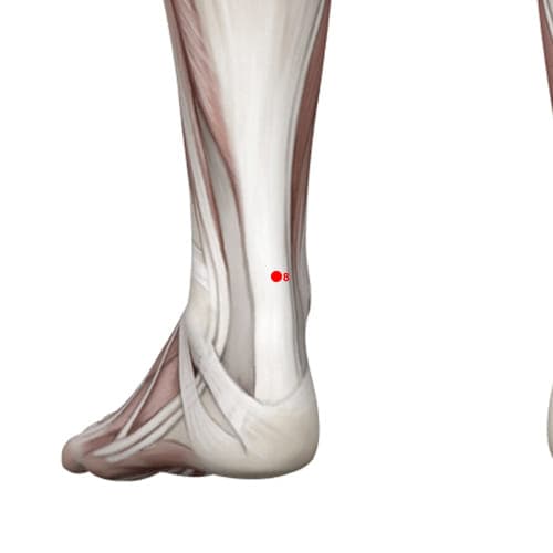 Location of acupuncture point XL08 (Inner Ankle Tip)