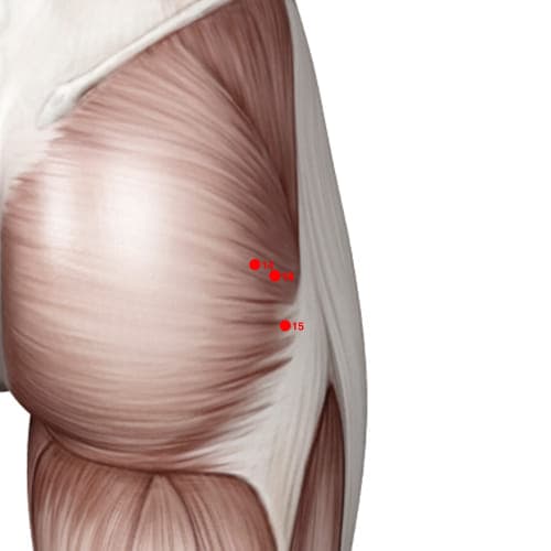 Location of acupuncture point XL16 (Unblocks The Meridians)