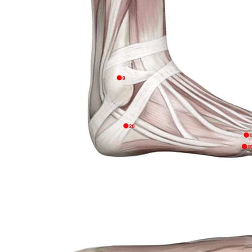 Location of acupuncture point XL20 (Floating Point)