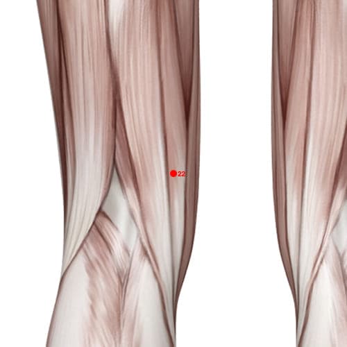 Location of acupuncture point XL22 (Upper Go)