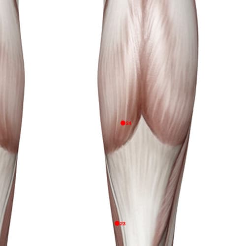 Location of acupuncture point XL24 (Inner Code Point)