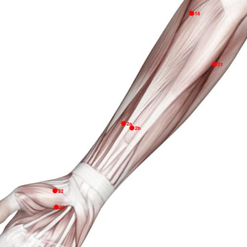 XU02A acupoint