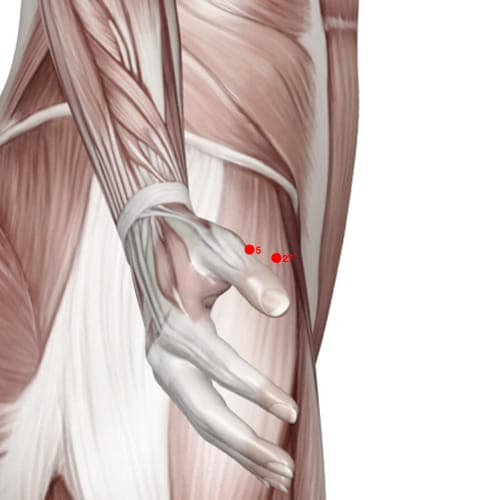 Location of acupuncture point XU05 (Big Empty Bone)