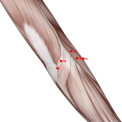 XU15C acupoint